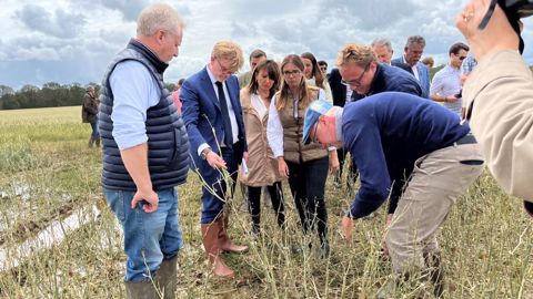 Marc Fesneau constate les dégâts de l'orage de grêle sur les cultures de Dominique Poyau, à Prunay-en-Yvelines (78), le 9 juin. (©Terre-net Média) Marc Fesneau constate les dégâts de l'orage de grêle sur les cultures de Dominique Poyau, à Prunay-en-Yvelines (78), le 9 juin. (©Terre-net Média)