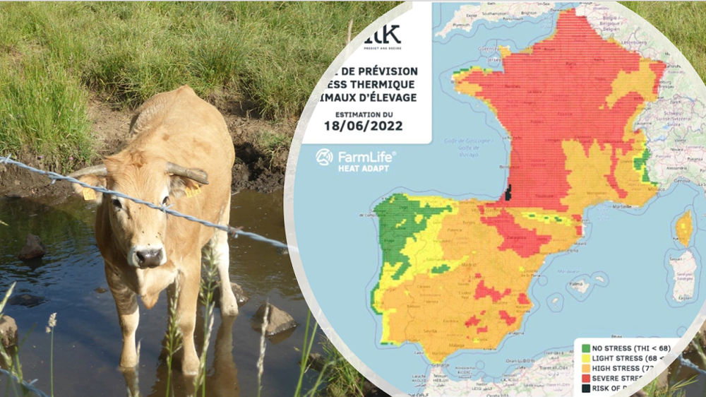 La vague de stress thermique devrait gagner les régions du Nord dans les prochains jours pour atteindre son niveau le plus élevé ce samedi 18 juin. (©Terre-net Média)
