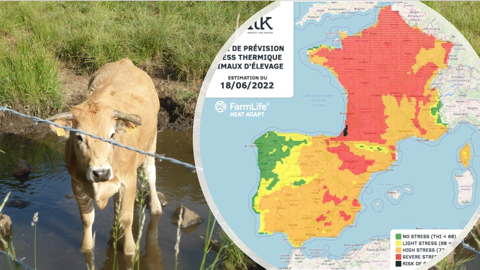 La vague de stress thermique devrait gagner les régions du Nord dans les prochains jours pour atteindre son niveau le plus élevé ce samedi 18 juin. (©Terre-net Média) La vague de stress thermique devrait gagner les régions du Nord dans les prochains jours pour atteindre son niveau le plus élevé ce samedi 18 juin. (©Terre-net Média)