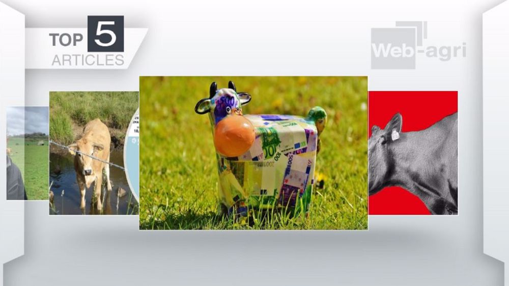  Les cinq articles les plus lus de la semaine sur Web-agri. (©Terre-net Média)