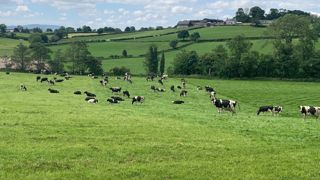 L’élevage laitier irlandais : des techniques à prendre... et à laisser ! L’élevage laitier irlandais : des techniques à prendre... et à laisser !