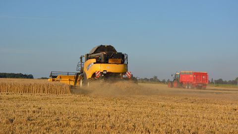 Les agriculteurs ont subi depuis le début de l'année une série d'épisodes climatiques sévères : gel, grêle, sécheresse et enfin une alerte canicule. (©Terre-net Média) Les agriculteurs ont subi depuis le début de l'année une série d'épisodes climatiques sévères : gel, grêle, sécheresse et enfin une alerte canicule. (©Terre-net Média)