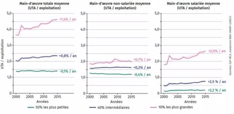 concentration de la main d oeuvre dans les grandes exploitations agricoles