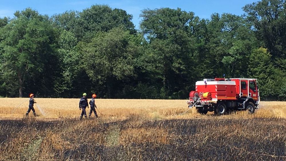 Incendie de culture maîtrisé par les pompiers de l'Oise et du Val-d'Oise en 2017. (©@OPtillon)