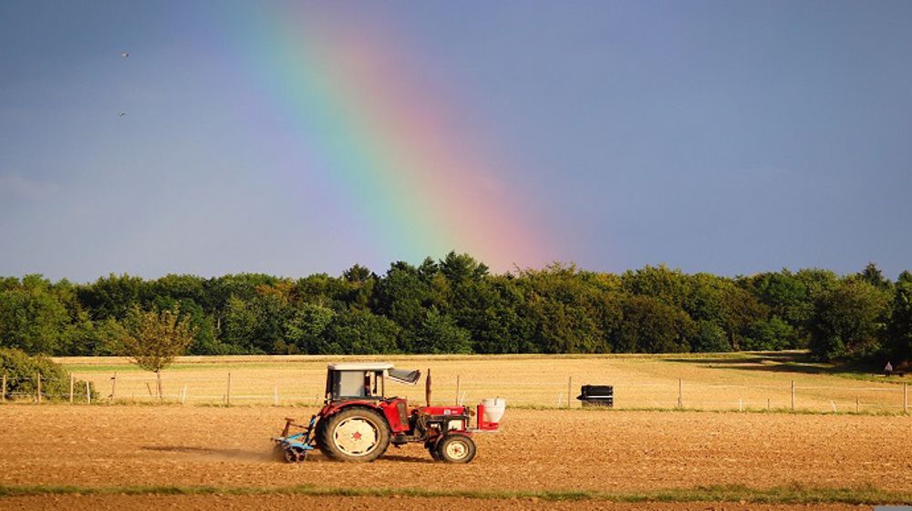 Des pluies moins fréquentes devraient permettre une accélération des semis. (©Pixabay)