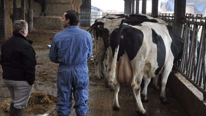 Ceva TRI sheet to target the dewormer on cattle