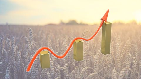 La valeur ajoutée de la branche agricole a progressé en 2021. (©Pixabay) La valeur ajoutée de la branche agricole a progressé en 2021. (©Pixabay)