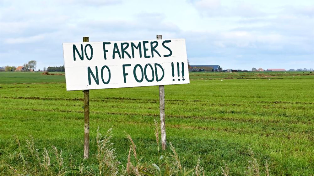 Le gouvernement néerlandais vise une réduction d'un tiers du cheptel d'ici à 2030 pour tenir ses engagements climatiques, suscitant la colère des éleveurs. (©AdobeStock)