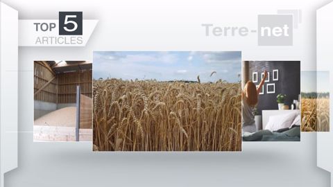 Articles les plus lus sur Terre-net cette semaine. (©Terre-net Média)