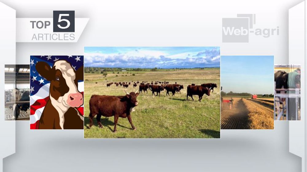 Articles les plus lus sur Web-agri cette semaine. (©Terre-net Média)