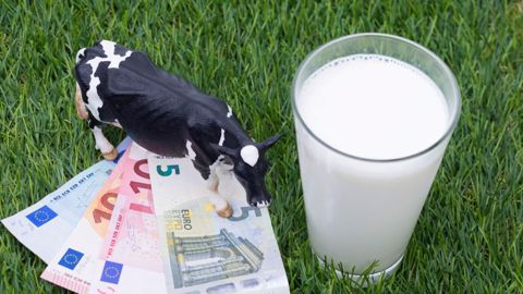 La France est l'un des pays européens où le prix du lait payé au producteur a le moins augmenté en un an. (©AdobeStock) La France est l'un des pays européens où le prix du lait payé au producteur a le moins augmenté en un an. (©AdobeStock)