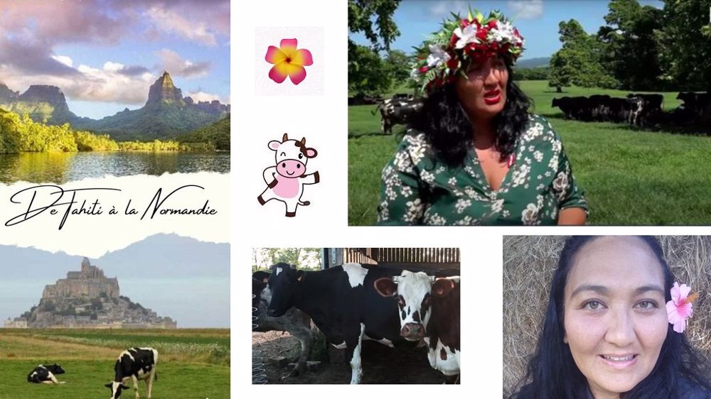 Cindy souhaite associer ses deux origines, normande et tahitienne, dans un projet d'élevage laitier sur son île natale. (©Cindy Gelas)