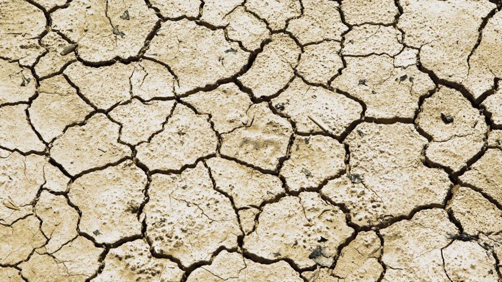 Le temps sec a réduit les projections de rendement en blé de l'USDA pour l'Espagne, l'Italie et l'Allemagne. (©Pixabay)
