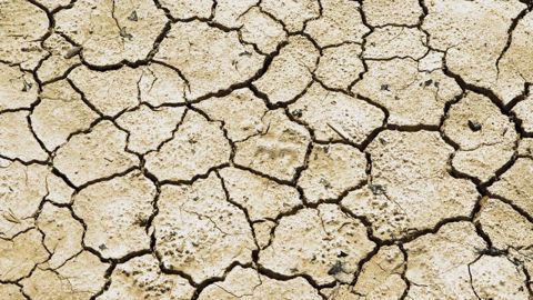 Le temps sec a réduit les projections de rendement en blé de l'USDA pour l'Espagne, l'Italie et l'Allemagne. (©Pixabay)
