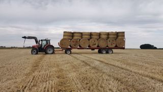 Manque de paille : ils ont opté pour des substrats Manque de paille : ils ont opté pour des substrats