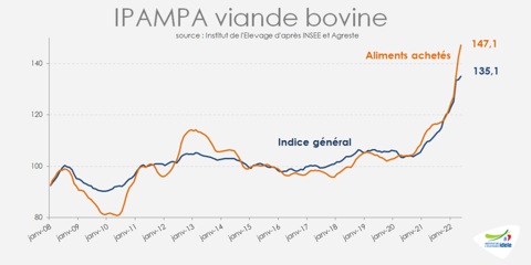 Ipampa viande bovine en mai 2022