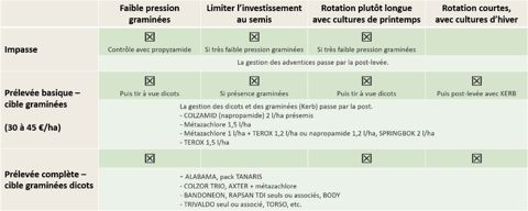 Stratégies herbicides colza