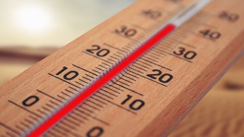 Avec des températures de plus de 40°C dans les plaines européennes lundi et mardi, un vent brûlant a attisé les feux de récolte et desséché les<strong> </strong>maïs à une période critique. (©Pixabay)