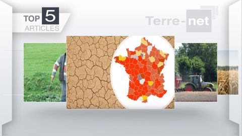 Articles les plus lus sur Terre-net en juillet. (©Terre-net Média)