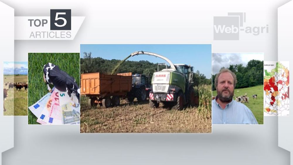 Articles les plus lus sur Web-agri en juillet. (©Terre-net Média)