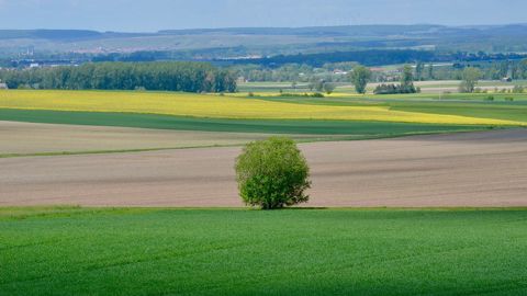 Les règles de la conditionnalité des aides liées à la rotation des cultures sont désormais connues pour la prochaine Pac, applicables pour les semis d'automne. (©Pixabay) Les règles de la conditionnalité des aides liées à la rotation des cultures sont désormais connues pour la prochaine Pac, applicables pour les semis d'automne. (©Pixabay)
