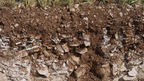 Il n’existe pas de niveau souhaitable de teneur de matière organique par type de sol. Il est préférable de suivre son évolution et de chercher au minimum à équilibrer le bilan humique. (©Arvalis-Institut du végétal)