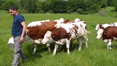 Améliorer le bilan carbone de mon exploitation Améliorer le bilan carbone de mon exploitation