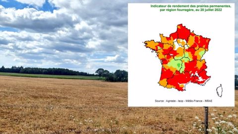 La plupart des régions virent au rouge en raison du manque de pluie La plupart des régions virent au rouge en raison du manque de pluie