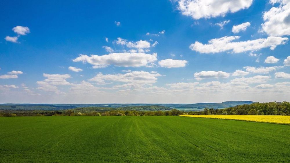 Engagé depuis le début du groupe Dephy de l'Yonne, Anicet Bretagne note une réduction de 42 % de l'IFT au bout de 10 ans sur son exploitation. (©Pixabay)
