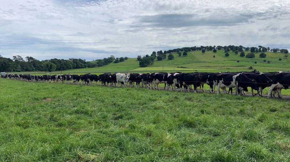 Qu'avez-vous pensé de ces reportages ? Dites-nous en commentaires, qu'on puisse s'améliorer pour les prochains reportages à l'étranger ! (©Terre-net Média)