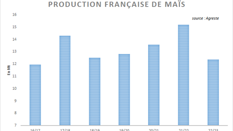 La production française de maïs risque de décrocher. La production française de maïs risque de décrocher.