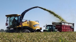 « Le méteil sécurise le système fourrager » « Le méteil sécurise le système fourrager »