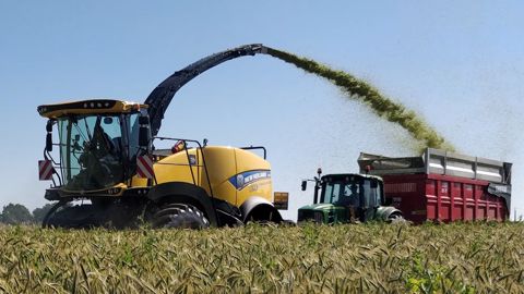 « Le méteil sécurise le système fourrager » « Le méteil sécurise le système fourrager »