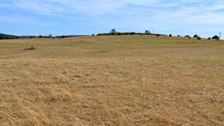 La production d'herbe est inférieure de 31 % à la normale La production d'herbe est inférieure de 31 % à la normale