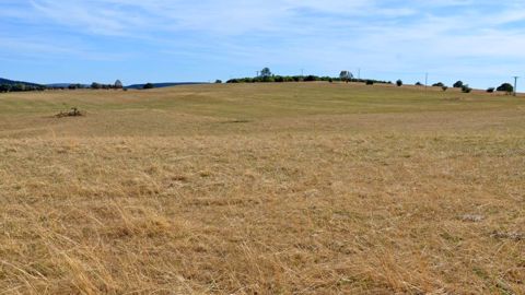 La production d'herbe est inférieure de 31 % à la normale La production d'herbe est inférieure de 31 % à la normale