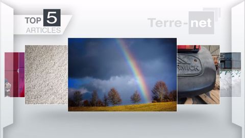 Articles les plus lus sur Terre-net en août. (©Terre-net Média)