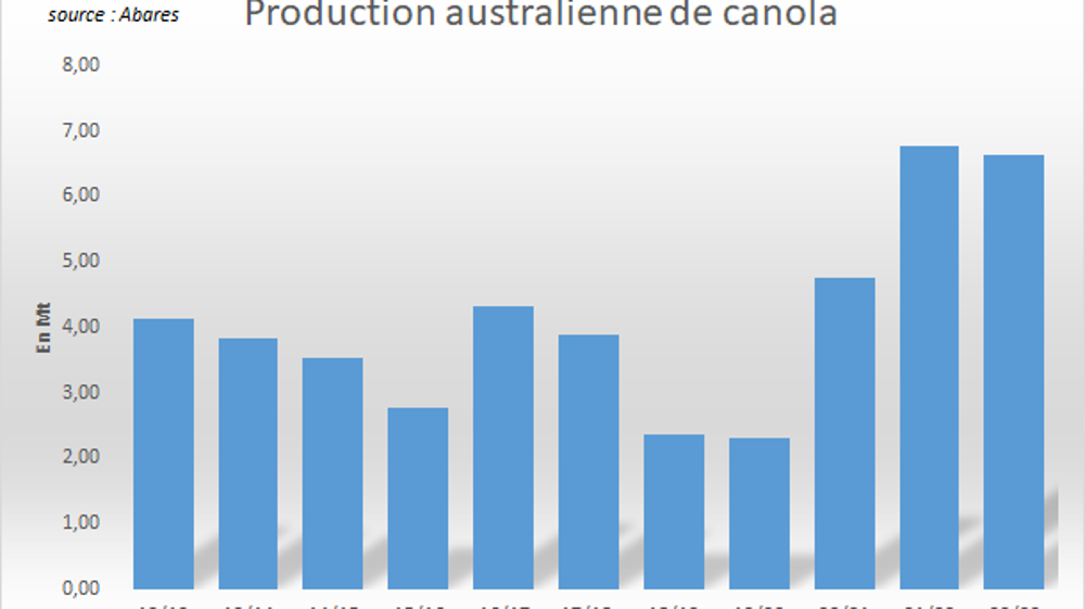 L'Australie attend une nouvelle récolte massive de canola.