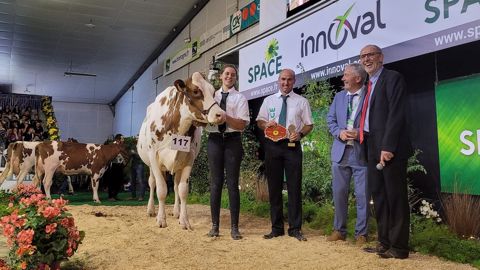 Nathalia P, grande championne Pie Rouge au Space 2022. (©Space) Nathalia P, grande championne Pie Rouge au Space 2022. (©Space)