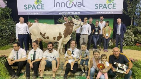 RIhanna enchante le concours Montbéliard et finit grande championne de la race RIhanna enchante le concours Montbéliard et finit grande championne de la race