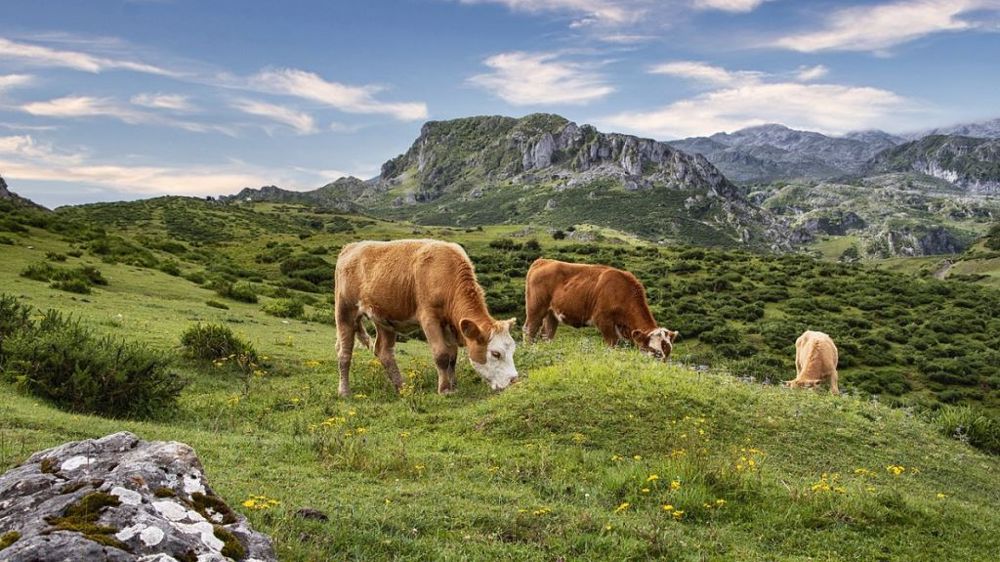  D'ici 2030, quelque 100 000 fermes devraient changer d'exploitants. (photo d'illustration) (©Pixabay)