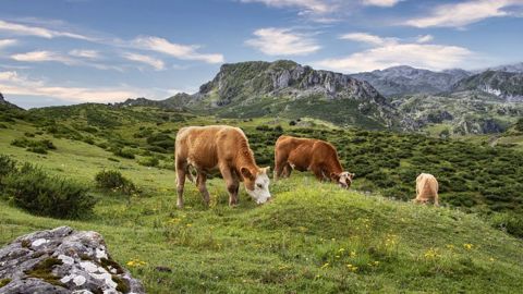 D'ici 2030, quelque 100 000 fermes devraient changer d'exploitants. (photo d'illustration) (©Pixabay) D'ici 2030, quelque 100 000 fermes devraient changer d'exploitants. (photo d'illustration) (©Pixabay)