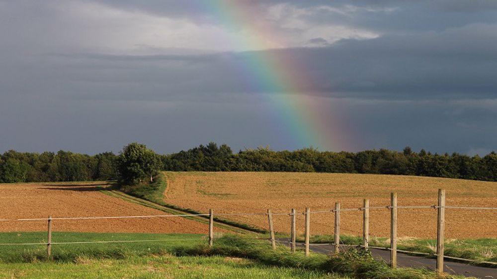 Les semis français profitent d'un climat favorable. (©WorldAgWeather)