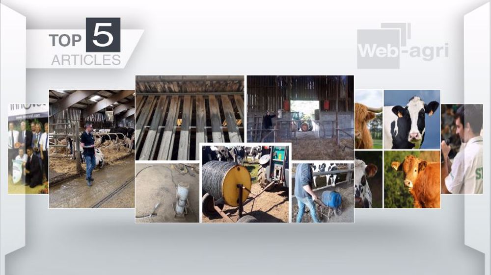 Articles les plus lus sur Web-agri cette semaine. (©Terre-net Média)