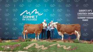 Natalia sacrée grande championne du concours Simmental Natalia sacrée grande championne du concours Simmental