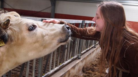 Au-delà de l'étude du temps et de l'efficacité du travail, « il s'agit de savoir comment les éleveurs se sentent dans leur métier », expliquent les organismes engagés dans le projet Cow Forme. (©Pixabay) Au-delà de l'étude du temps et de l'efficacité du travail, « il s'agit de savoir comment les éleveurs se sentent dans leur métier », expliquent les organismes engagés dans le projet Cow Forme. (©Pixabay)