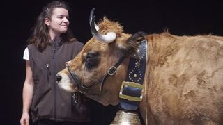 Nom D Animaux En Lettre M Pour 16 Chien Vache Chat