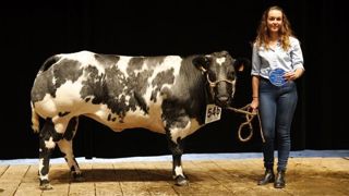 Retrouvez le palmarès du concours Blanc-Bleu Retrouvez le palmarès du concours Blanc-Bleu