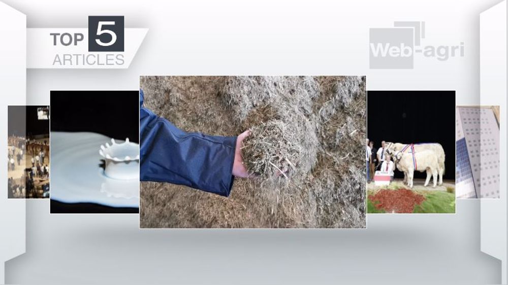 Articles les plus lus sur Web-agri cette semaine. (©Terre-net Média)
