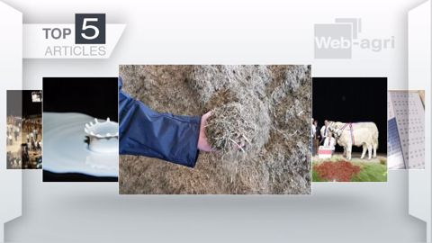 Articles les plus lus sur Web-agri cette semaine. (©Terre-net Média)