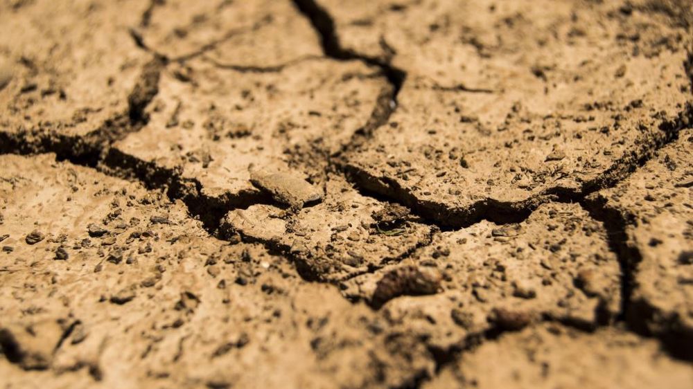Les conditions anormalement sèches et chaudes d'avril/mai ont entamé le potentiel de production du blé indien. (©Pixabay)